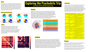   Exploring the Psychedelic Trip  